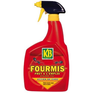 Insecticides Anti-fourmis - KB