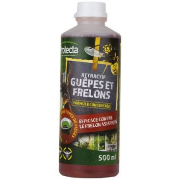 Insecticide aérosol guêpes et frelons KAPO, 500 ml