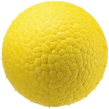 Accessoires animaux Animaux & articles divers - FERPLAST