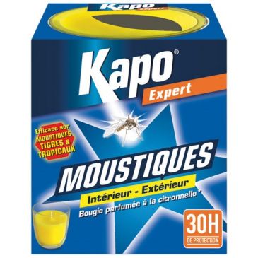Insecticides Insecticides insectes volants - KAPO