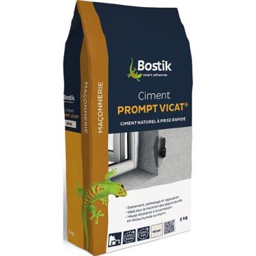 Matériaux reboucheurs Ciments prompts - BOSTIK