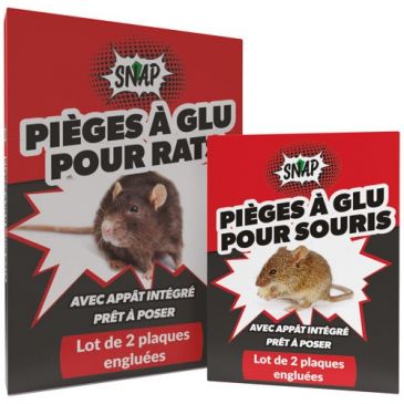 Raticides & anti nuisibles Tapettes & pièges rats, souris - SNAP