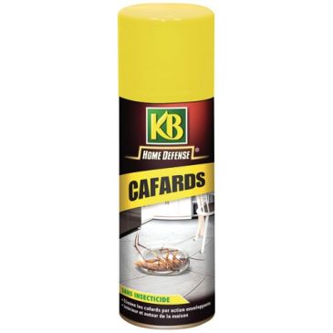 Insecticides Insecticides insectes volants - KB HOME DEFENSE