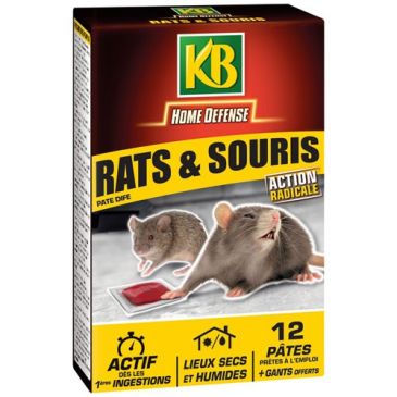 Raticides & anti nuisibles Tapettes & pièges rats, souris - KB HOME DEFENSE
