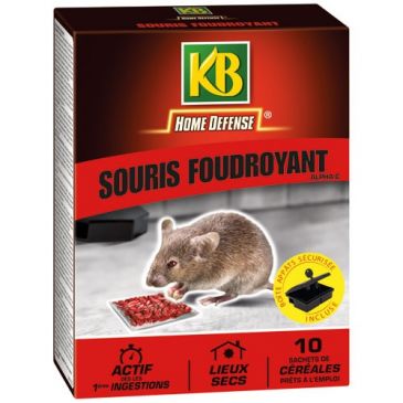 Raticides & anti nuisibles Tapettes & pièges rats, souris - KB HOME DEFENSE