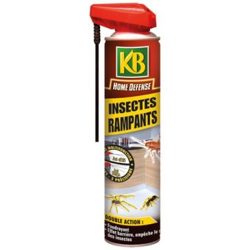Insecticides Insecticides insectes rampants - KB HOME DEFENSE