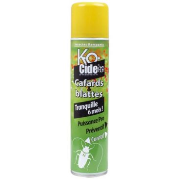 Insecticides Insecticides insectes rampants - KOCIDE