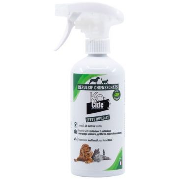 Insecticides Insecticides insectes volants - K-OCIDE