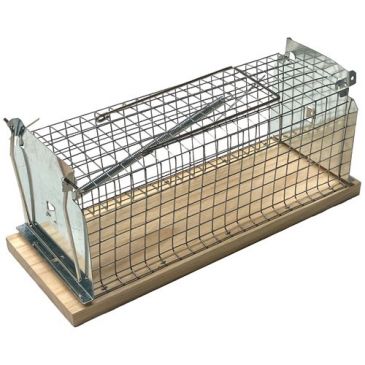 Raticides & anti nuisibles Tapettes & pièges rats, souris - CAUSSADE