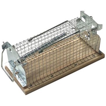 Raticides & anti nuisibles Tapettes & pièges rats, souris - CAUSSADE
