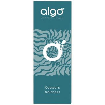 Peintures murs et plafonds  - ALGO