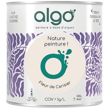 Peintures murs et plafonds  - ALGO