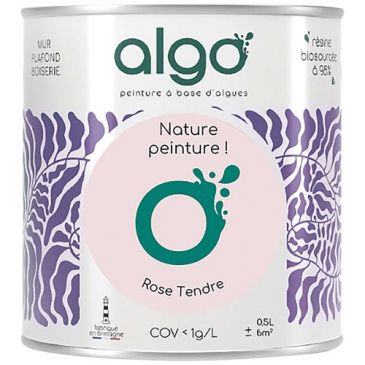 Peintures murs et plafonds  - ALGO