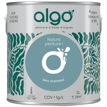 Peintures murs et plafonds  - ALGO