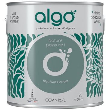Peintures murs et plafonds  - ALGO