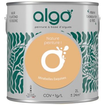 Peintures murs et plafonds  - ALGO