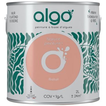 Peintures murs et plafonds  - ALGO