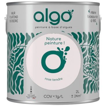 Peintures murs et plafonds  - ALGO