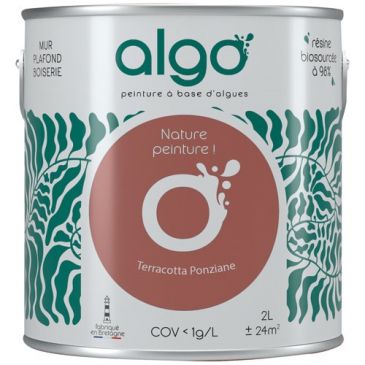 Peintures murs et plafonds  - ALGO