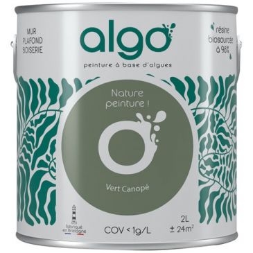 Peintures murs et plafonds  - ALGO