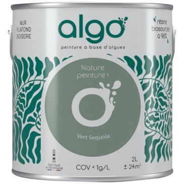 Peintures murs et plafonds  - ALGO