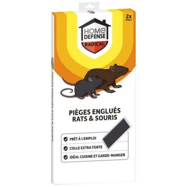 Raticides & anti nuisibles Tapettes & pièges rats, souris - HOME DEFENSE