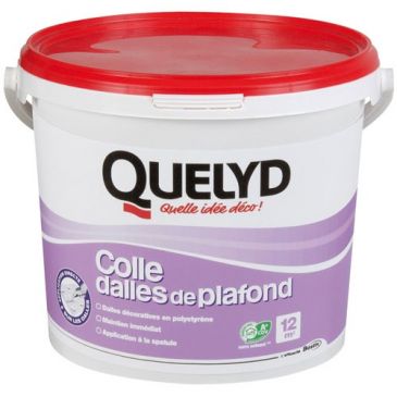 Colles Colles dalle plafond polyst. - QUELYD