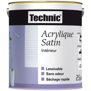 Peintures acryliques  - TECHNIC
