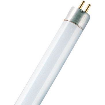 Ampoule halogène Standard - OSRAM