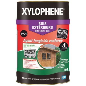 Produits rénovation bois Traitement bois non teintant - XYLOPHENE
