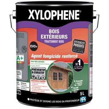 Produits rénovation bois Traitement bois non teintant - XYLOPHENE